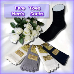 �»Ρ���5�ܻؤ��Ĳ������5­��