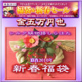 ��2010���륯ʡ�ޡۡ�5����+6500�ߥץ�ߥ���ݥ����